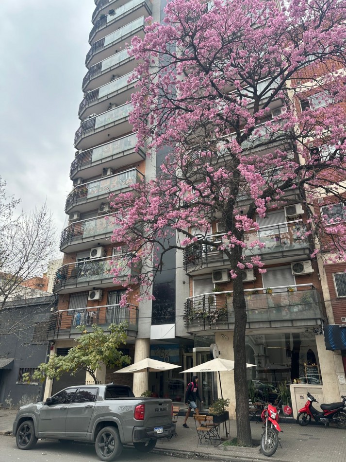 AV. SARMIENTO 290, BARRIO NORTE